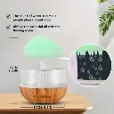 Rain Cloud Night Light Humidifier with Raining Water.webp